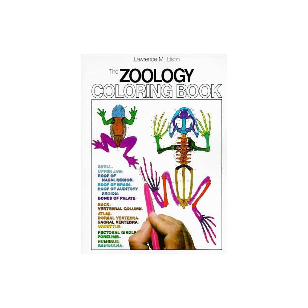 TARGET Zoology Coloring Book - (Coloring Concepts) by Lawrence M Elson  (Paperback)