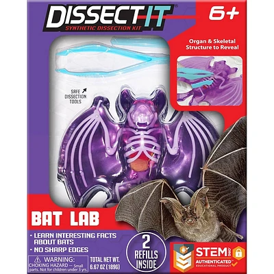 Dissect It Bat Lab