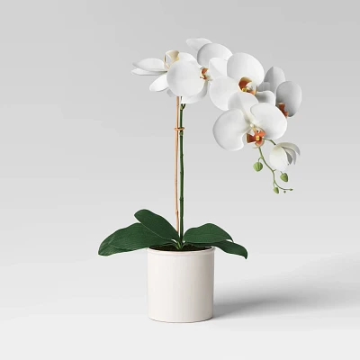 Orchid in White Pot - Threshold