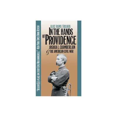 In the Hands of Providence - (Civil War America) by Alice Rains Trulock (Paperback)