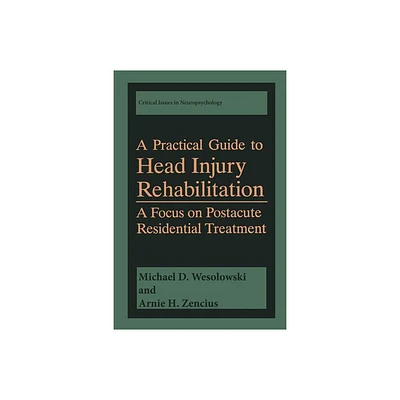 A Practical Guide to Head Injury Rehabilitation - (Critical Issues in Neuropsychology) by Michael D Wesolowski & Arnie H Zencius (Paperback)