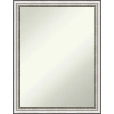 21 x 27 Non-Beveled Salon Silver Narrow Wall Mirror - Amanti Art