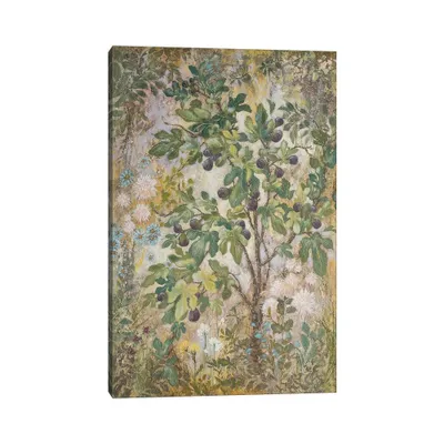 Fig Tree by Lisa Marie Kindley Canvas Art