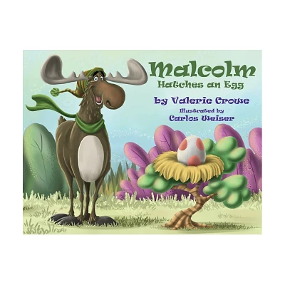 Malcolm Hatches An Egg - by Valerie Crowe (Paperback)