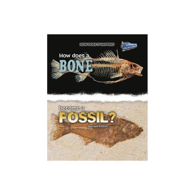 How Does a Bone Become a Fossil? - (How Does It Happen) by Melissa Stewart (Paperback)