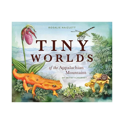 Tiny Worlds of the Appalachian Mountains - by Rosalie Haizlett (Hardcover)