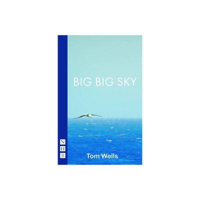 Big Big Sky - by Tom Wells (Paperback)