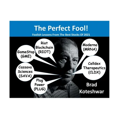 The Perfect Fool! - by Brad Koteshwar (Paperback)