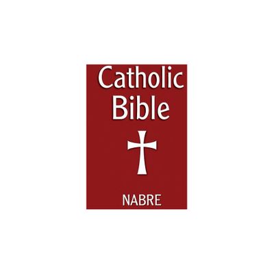 Catholic Bible, Nabre - by Our Sunday Visitor (Paperback)