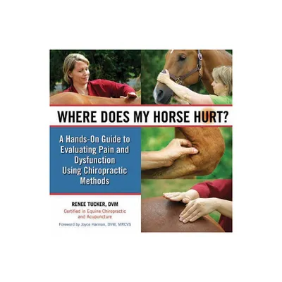 Where Does My Horse Hurt? - by Renee Tucker (Hardcover)