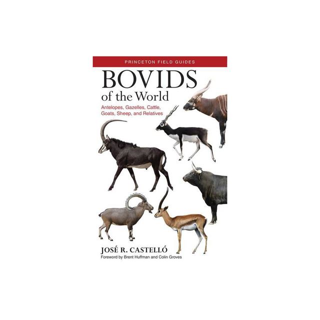 Bovids of the World - (Princeton Field Guides) by Jos R Castell (Paperback)