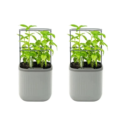 Vego Garden Twin Pack Self-Watering Mini Rectangular Indoor Outdoor Planter Pots Includes 2 Planter Pots and Trellis  7x7x14