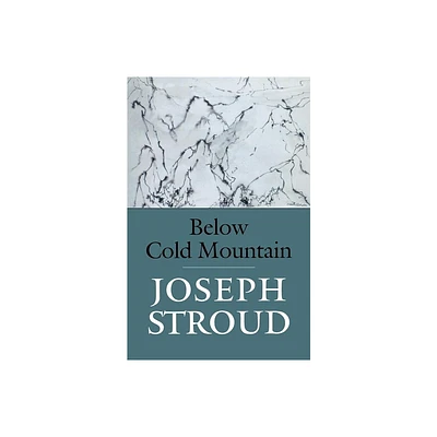 Below Cold Mountain - by Joseph Stroud (Paperback)