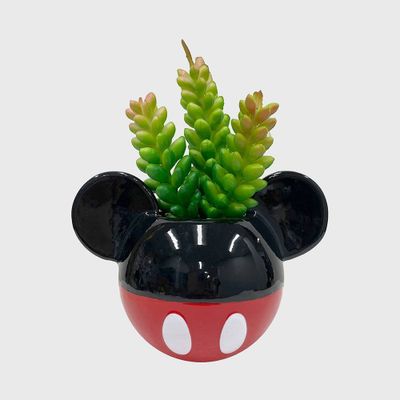 Disney 2pc Indoor/Outdoor Ceramic Mickey & Minnie Mouse Classic Succulent Set: Novelty Garden Accessories, No Drainage