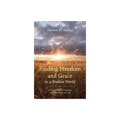 Finding Freedom and Grace in a Broken World - by Thomas M Stallter (Paperback)