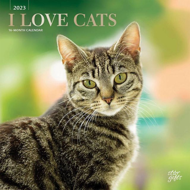 Tf Publishing 2023 Wall Calendar Space Cats - TF Publishing | Connecticut  Post Mall