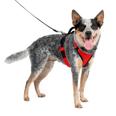 PetSafe EasySport Adjustable Dog Harness - M