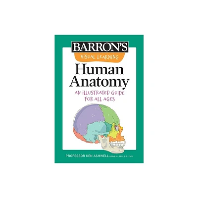 Visual Learning: Human Anatomy - (Barrons Visual Learning) by Ken Ashwell (Paperback)