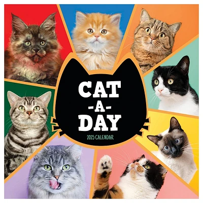 TF Publishing 2025 Wall Calendar 12x12 Cat A Day