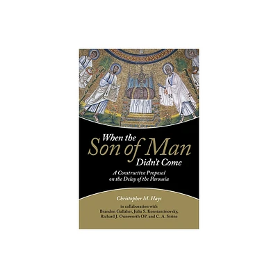 When the Son of Man Didnt Come - by Christopher M Hays (Paperback)