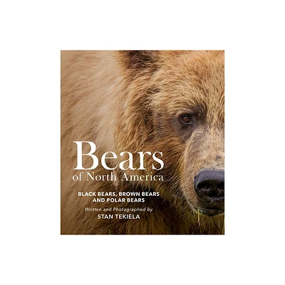 Bears of North America - (Favorite Wildlife) by Stan Tekiela (Paperback)