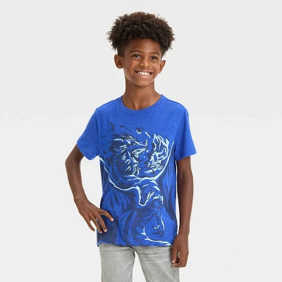 Boy Short Sleeve Dragon Graphic T-Shirt