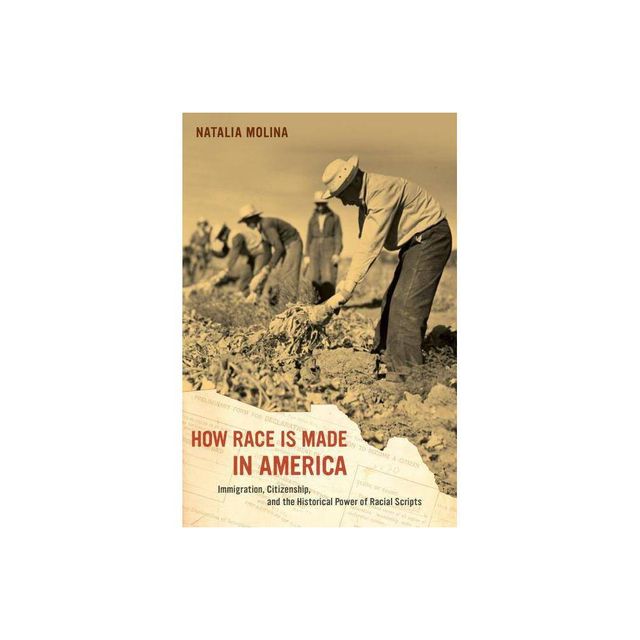 How Race Is Made in America - (American Crossroads) by Natalia Molina (Paperback)