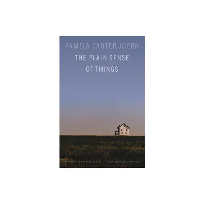 The Plain Sense of Things - (Flyover Fiction) by Pamela Carter Joern (Paperback)