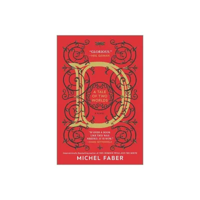 D a Tale of Two Worlds - by Michel Faber (Paperback)