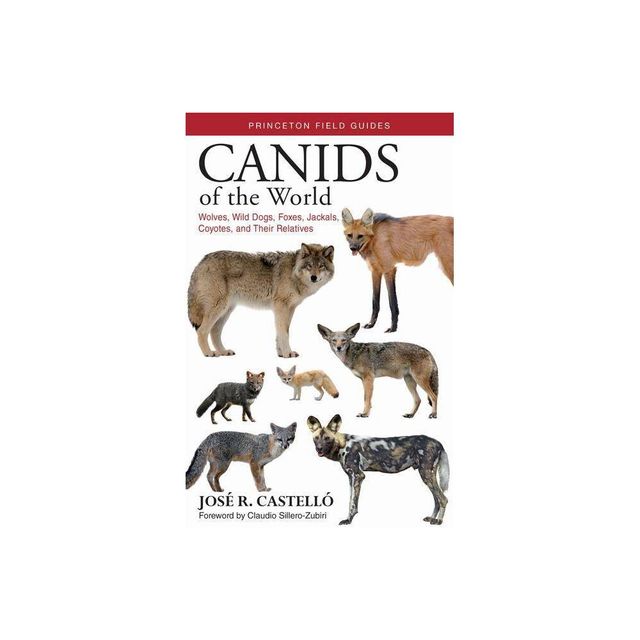 Canids of the World - (Princeton Field Guides) by Jos R Castell (Paperback)