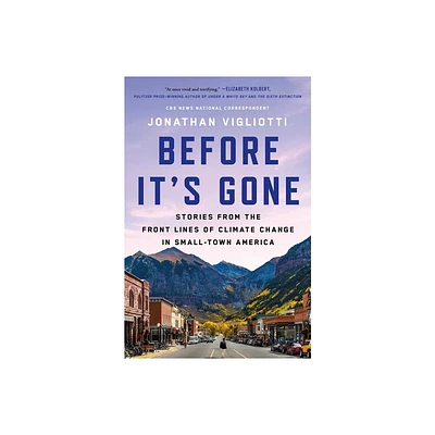 Before Its Gone - by Jonathan Vigliotti (Hardcover)