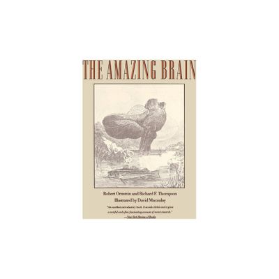 The Amazing Brain - by Robert E Ornstein & Robert E Crnstein & David Macaulay (Paperback)