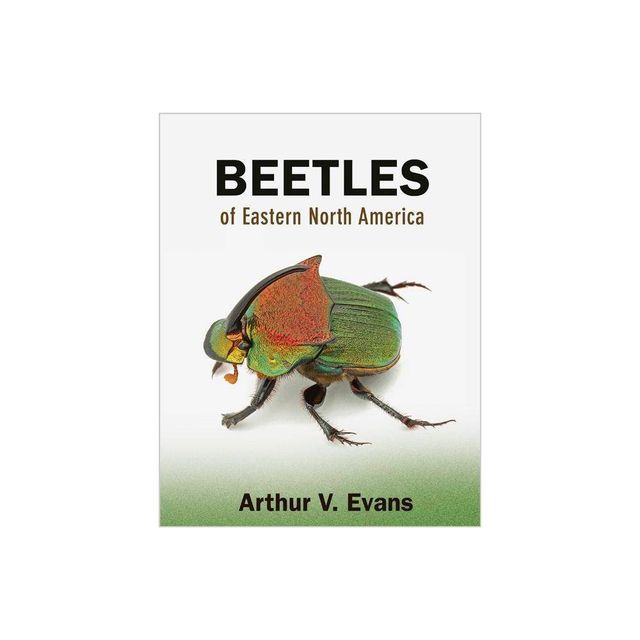 Beetles of Eastern North America - by Arthur V Evans (Paperback)