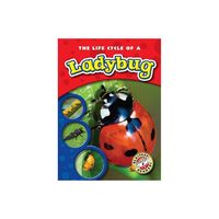 The Life Cycle of a Ladybug - (Life Cycles) by Colleen Sexton (Paperback)