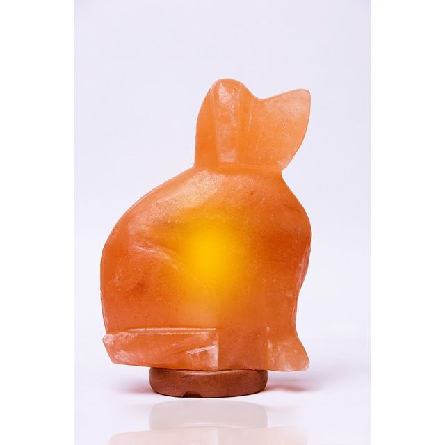 Dog Salt Lamp Pink - Q&A Himalayan Salt: Dog Design, Electric Salt Rock Light, Includes Bulb