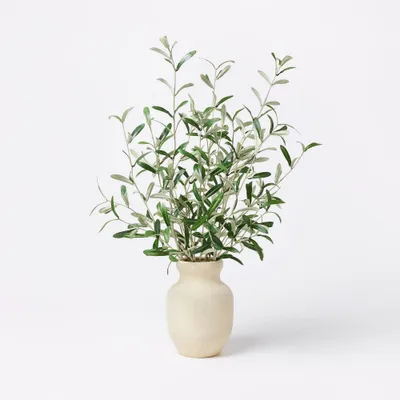 Artificial Olive Leaf Arrangement - Threshold designed with Studio McGee: Faux Tree in Ceramic Pot