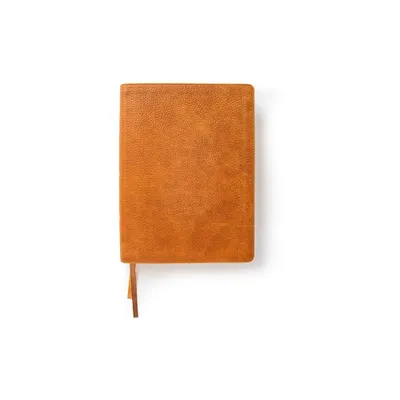 CSB Lifeway Womens Bible, Butterscotch Genuine Leather, Indexed - by Csb Bibles by Holman & Lifeway Women (Leather Bound)