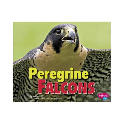 Peregrine Falcons - (Birds of Prey) by Melissa Hill (Paperback)