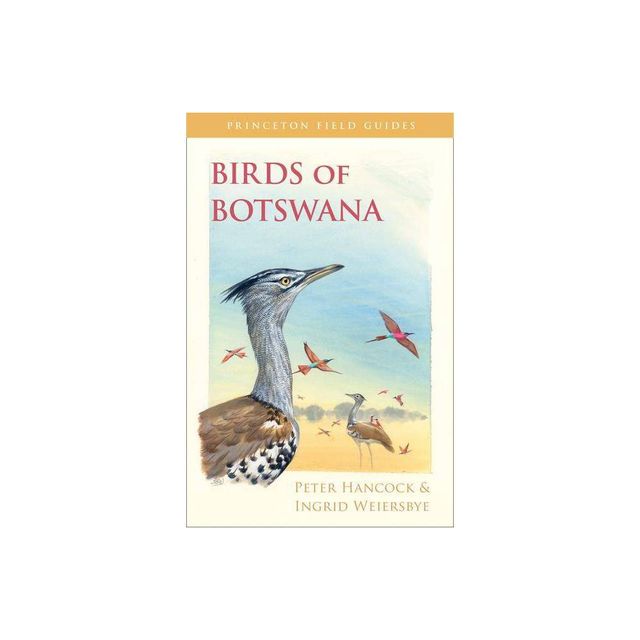 Birds of Botswana - (Princeton Field Guides) by Peter Hancock & Ingrid Weiersbye (Paperback)