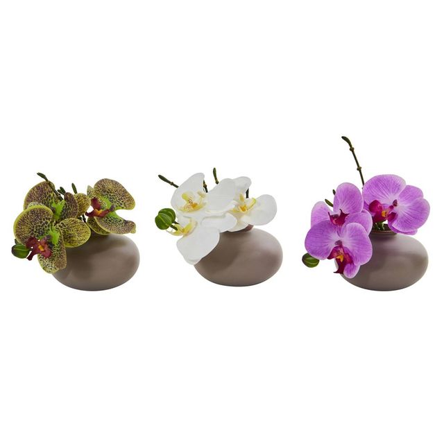 7 x 6.5 3pc Artificial Phalaenopsis Orchid Arrangement in Ceramic Pot Set - Nearly Natural