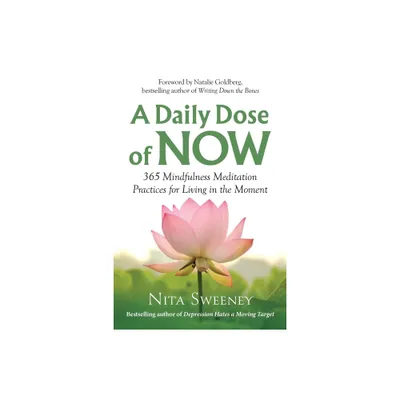 A Daily Dose of Now - by Nita Sweeney (Paperback)