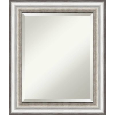 Salon Silver Framed Wall Mount Mirror, Beveled Glass - Amanti Art