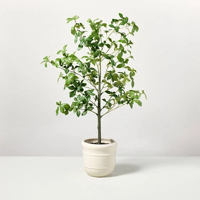 33 Faux Potted Gypsophila Leaf Tree - Hearth & Hand with Magnolia