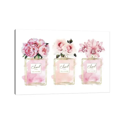 iCanvas 18x12x1.5 Perfume Trio in Champagne and Blush by Amanda Greenwood Unframed Wall Canvas : Modern Style, Gallery Wrap