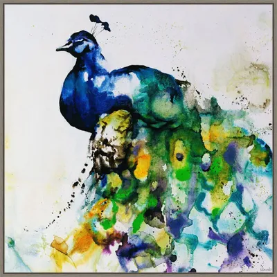 30 x 30 Peacock Plumes and Feathers by Sydney Edmunds - Amanti Art: Modern Lithograph Canvas