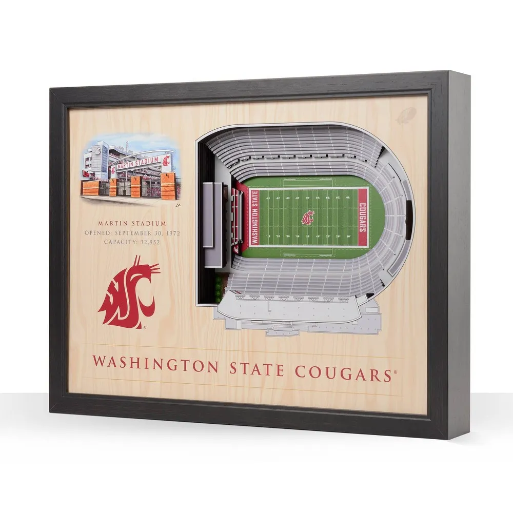 NCAA Washington State Cougars 25-Layer StadiumViews 3D Wall Art