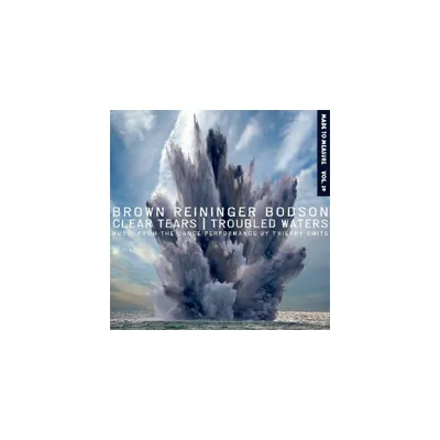 Steven Brown & Blaine Reininger & Maxime Bodson - Clear Tears / Troubled Waters (CD)