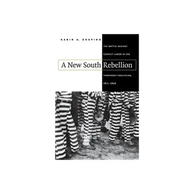 A New South Rebellion - (Fred W. Morrison Series in Southern Studies) by Karin a Shapiro (Paperback)