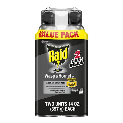 Raid Wasp and Hornet Bug Spray - 14oz/2ct