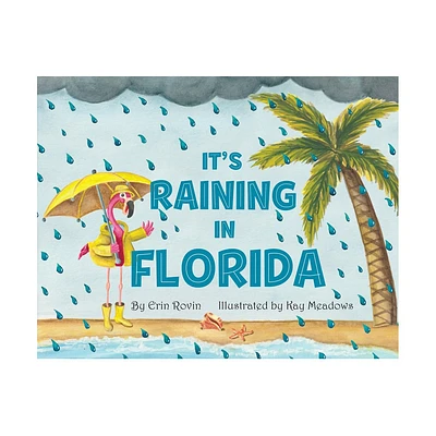 Its Raining in Florida - (Pelican) by Erin Rovin (Board Book)